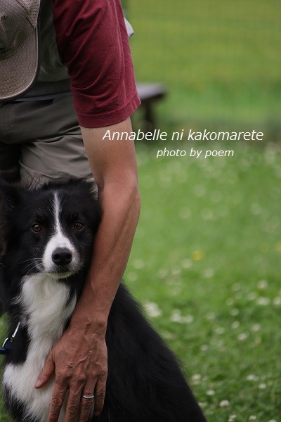 今日は犬の日わんわんわん ペットの写真の撮り方は アナベルにかこまれて Powered By ライブドアブログ