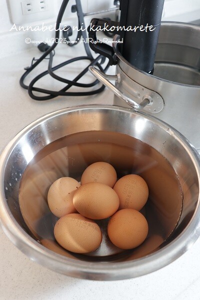 岡野達也　オーバル木皿(大)チェリー 岡野達也 オーバル木皿(大)チェリー