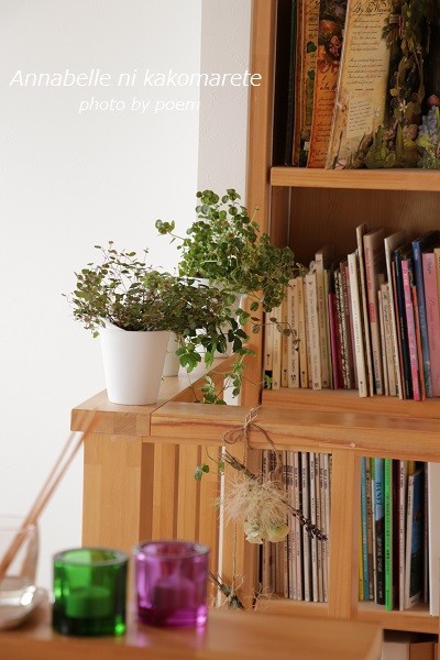 無印良品週間 ネットストアにはない店舗で買ってよかったおススメ商品 アナベルにかこまれて Powered By ライブドアブログ