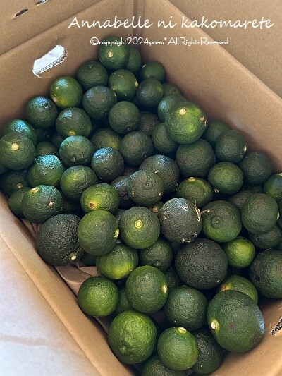 ハチ様 専用 内村七生さん そばちょこ とりさん3種 米】新米かと思うほど