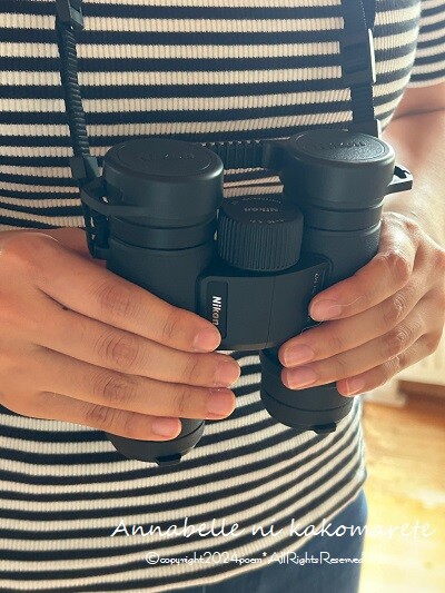 極美品】フランス ヨーロッパアンティーク アイアン 真鍮 レザー