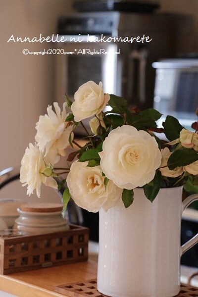 ガーデニング 刈り込んだ最後の花の艶やかさ 冬囲い アナベルにかこまれて Powered By ライブドアブログ