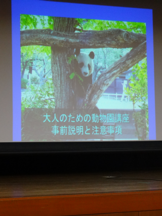第36回大人のための動物園講座 大人の飼育体験 みんなのそら