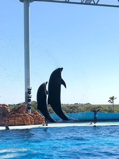 和歌山アドベンチャーワールド５ みんなのそら