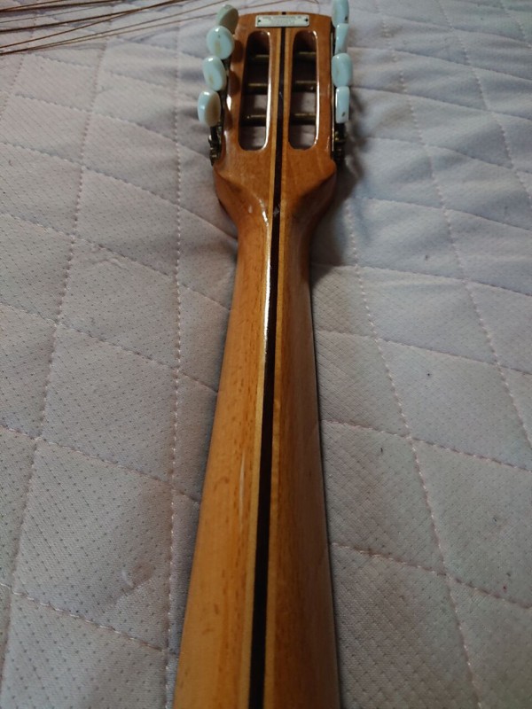 ドイツマンドラ BELCANTO EMIL HOFMANN JR : Chord of Silence