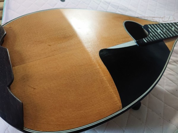 ドイツマンドラ BELCANTO EMIL HOFMANN JR : Chord of Silence