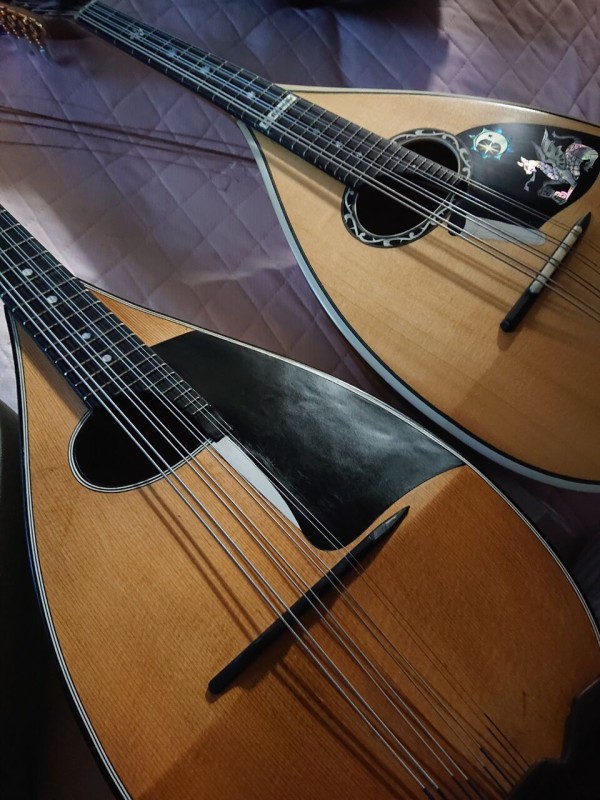 ドイツマンドラ BELCANTO EMIL HOFMANN JR : Chord of Silence