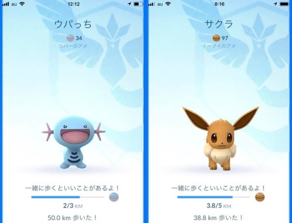 豚のミルフィーユカツの弁当 ポケモンgoデビューした話 いまさら ぽかぽかびより レシピ 作り方 コツ Powered By ライブドアブログ