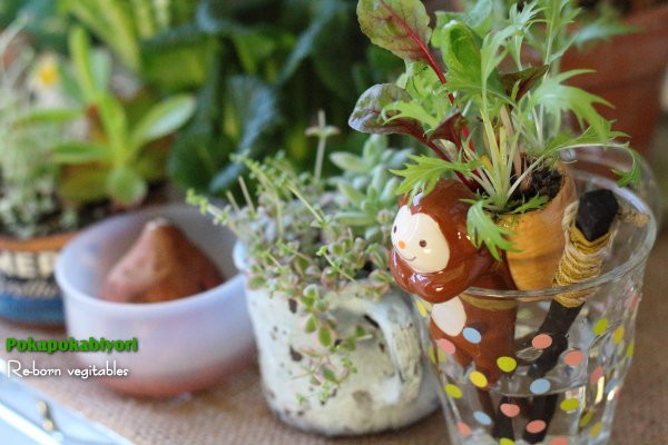 買ってきた にんにく を ペットボトルで作った植木鉢に植えてみました ぽかぽかびより レシピ 作り方 コツ Powered By ライブドアブログ 買ってきた にんにく を ペットボトルで作った植木鉢に植えてみました ぽかぽかびより レシピ 作り方 コツ Powered By ライブドアブログ