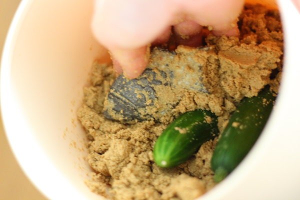 ぬか床を１から作る方法 その後の微調整の話 ぽかぽかびより レシピ 作り方 コツ Powered By ライブドアブログ