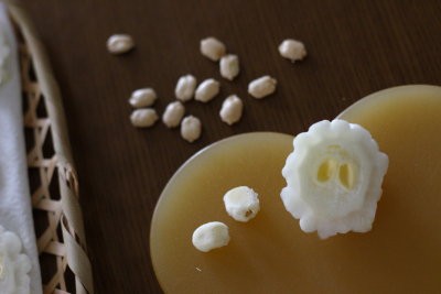 緑 白ゴーヤの半干し ゴーヤを英語で言うと ぽかぽかびより レシピ 作り方 コツ Powered By ライブドアブログ