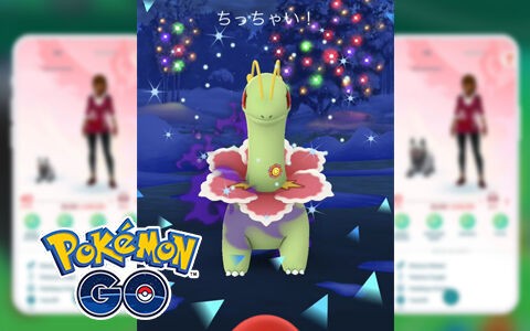 ポケモンgo ちっちゃい ってエフェクトxxs確定じゃなくても出現するのなぜ ポケブラリー