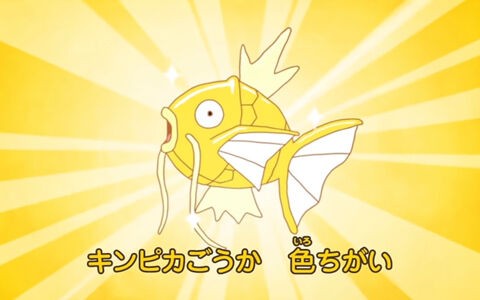 カンパチのアルビノ でも コイキングの色違いでも性能変わらんし試合には出さんやろ ポケブラリー