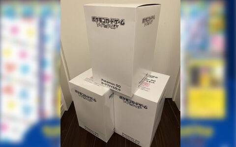 セブンネットで誤送付 ポケモンgoカードファイルセット 1点購入なのに1カートン届いた 回収案件 ポケブラリー
