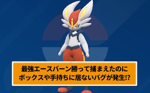 ポケモンsv 最強エースバーン勝って捕まえたのにボックスや手持ちに居ないバグが発生 ポケブラリー