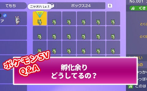 ポケモンsv 孵化厳選する時に孵化余りのポケモン達ってみんなどうしてるの ポケブラリー