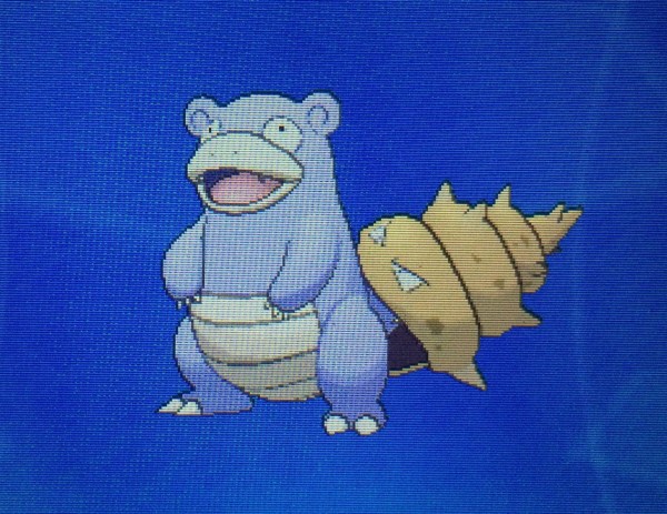 メガ進化 ヤドン ヤドラン メガヤドラン クリマツ自転車