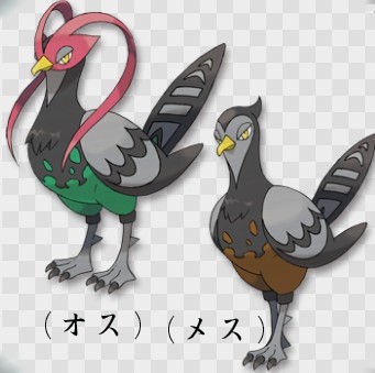 ケンホロウって何ポケモンか知ってる ポケまと ポケモンまとめ ２ｃｈ