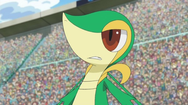 感想 ポケットモンスターbw シーズン2 第24話 決着イッシュリーグ ピカチュウ対ルカリオ まとめ ぽけみん Pokemin ポケットモンスターまとめサイト