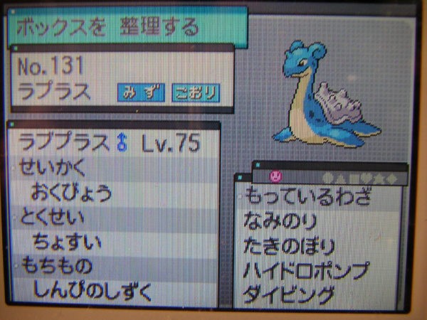 ゲオでポケモンブラック買ったｗｗｗｗｗｗｗｗ ぽけみん Pokemin ポケットモンスターまとめサイト