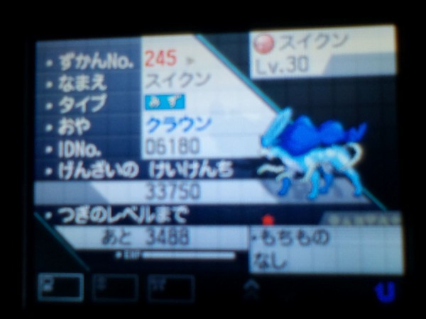 ブログ開設記念第1弾ポケモンプレゼント クラウンスイクン みいぽあのポケモン日記 ブログ開設記念第1弾ポケモンプレゼント クラウンスイクン みいぽあのポケモン日記