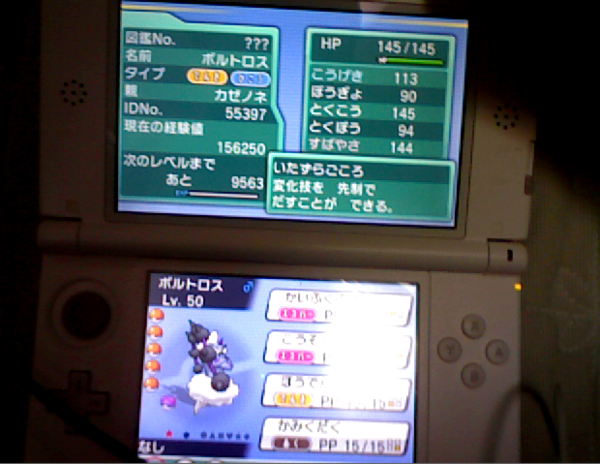 ポケモン 色違いボルトロス画像 ボルトロス粘ってたら色違いキタ ゚ ゚ どうしようリセするべき ポケモンまとめ特報oras ポケモン 色違いボルトロス画像 ボルトロス粘ってたら色違いキタ ゚ ゚ どうしようリセするべき ポケモンまとめ特報oras