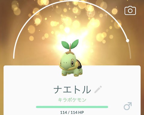 需要がなさそうな ナエトルは色違い3匹も捕まえればいいかなwww ポケモンgo速報まとめ 需要がなさそうな ナエトルは色違い3匹も捕まえればいいかなwww ポケモンgo速報まとめ