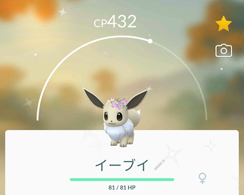 メスの花イーブイを大発見しちゃったんだけど何に進化させるのがいいのかな ポケモンgo速報まとめ