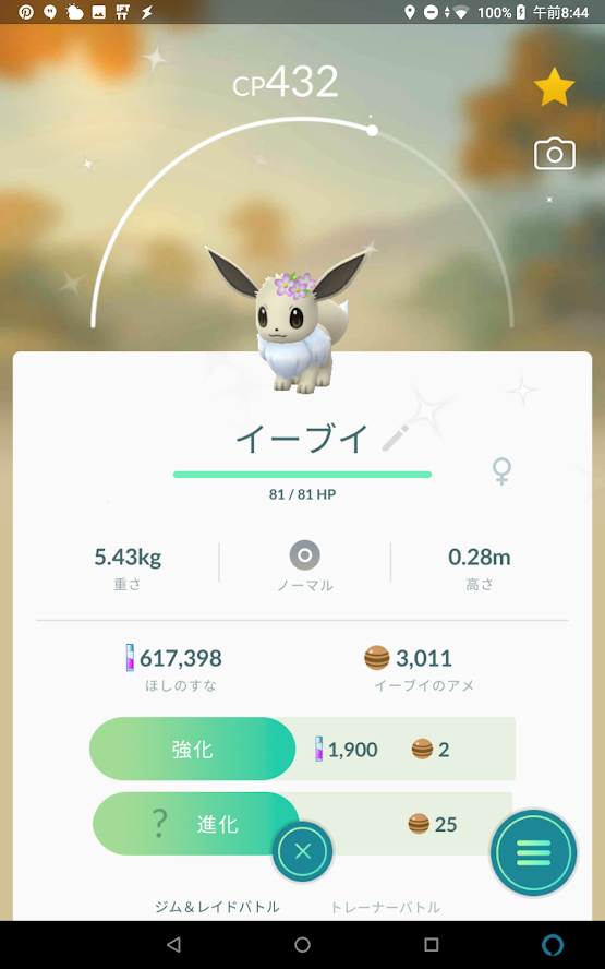 メスの花イーブイを大発見しちゃったんだけど何に進化させるのがいいのかな ポケモンgo速報まとめ