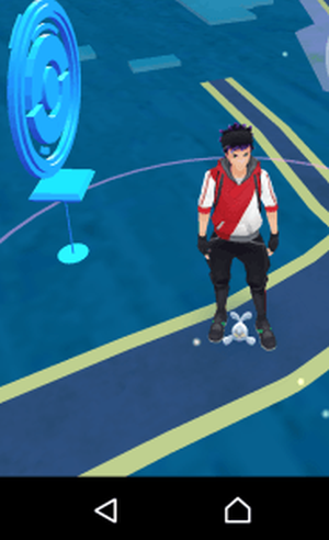 ポケモンgo めっさ小さいパウワウに遭遇したんだがｗｗｗｗｗｗｗ ポケモンgo速報まとめ