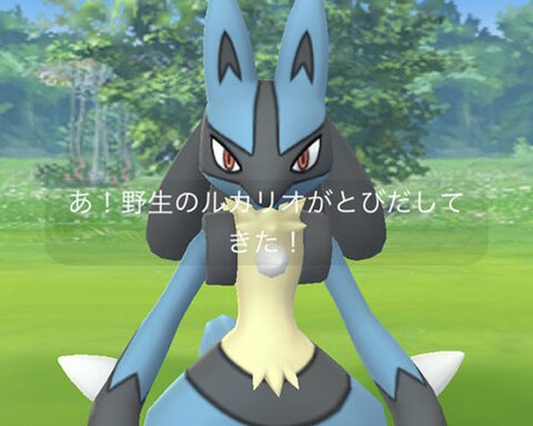 ルカリオが貰えるらしいぞｗｗ格闘タイプの層が薄すぎてペルシアンに勝てないｗｗ ポケモンgo速報まとめ