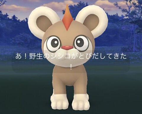 シシコのメスとか確率低すぎだろｗｗ雌雄で姿が違うのの色違いは大変だなｗｗ ポケモンgo速報まとめ