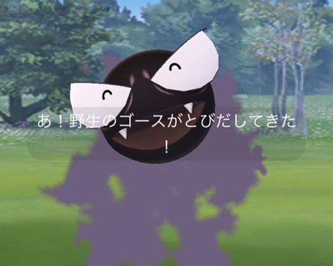 ゴースト18匹のチャンスか タスク産の色違いなんてｗｗ ポケモンgo速報まとめ