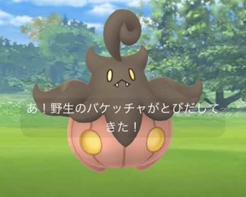 特大に逃げられてｗｗバケッチャはどのサイズ狙いで捕まえればいいの ポケモンgo速報まとめ