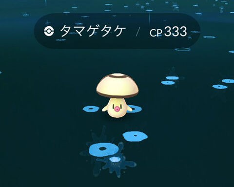 捕獲確率が下げられてない こいつずいぶんとボール割ってくるからメタモンだな ポケモンgo速報まとめ