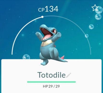 ポケモンgo チコリータやワニノコって本当に卵から出るの ポケモンgo速報まとめ ポケモンgo チコリータやワニノコって本当に卵から出るの ポケモンgo速報まとめ