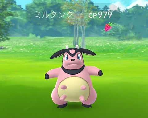 ポケモンgo ミルタンクって珍しいけど飴集めるべきかな ポケモンgo速報まとめ