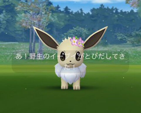 1日で出たなら大勝利だなｗｗ花飾りイーブイの色違い率ってアップされてないのか ポケモンgo速報まとめ