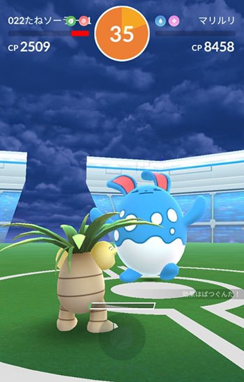 マリルリ レイド ソロ