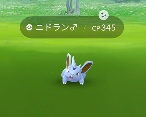 ポケモンgo 昨日あたりからニドラン色違いの数増えたよね ポケモンgo速報まとめ