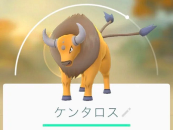 ポケモンgo お香を炊いてたらケンタウロスをゲットしたって言われたんだけど ありえるの ポケモンgo速報まとめ ポケモンgo お香を炊いてたらケンタウロスをゲットしたって言われたんだけど ありえるの ポケモンgo速報まとめ