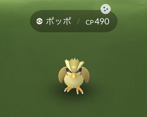 ポケモンgo ポッポ全然見かけない ググるとポッポマラソンでレベル上げって書いてあるけど ポケモンgo速報まとめ