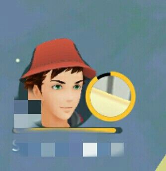 ポケモンgo ポケモンの表示サイズ修正ってなんだ ホエルオーか ポケモンgo速報まとめ