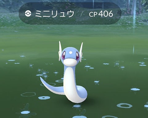 ポケモンgo バグのせいかな ミニリュウ系じゃないとダメとかじゃないよね ポケモンgo速報まとめ