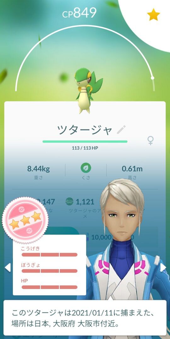 そういう枠だからｗｗツタージャはとりあえず色違い100 が取れればいいやｗｗ ポケモンgo速報まとめ