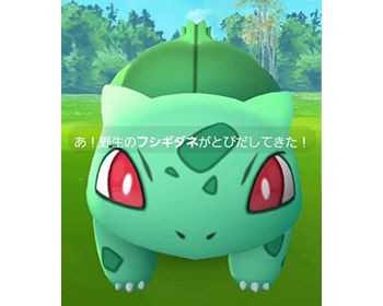 ポケモンgo あ 野生のフシギダネがとびだしてきた ポケモンgo速報まとめ