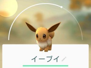 ポケモンgo イーブイの進化系は強化してはならないという原則があるらしい ポケモンgo速報まとめ