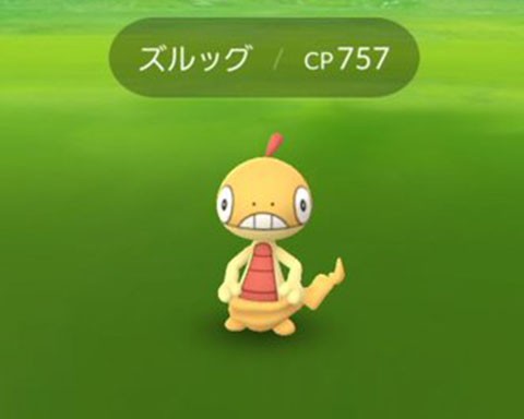 マジかｗｗｗズルッグ確定という噂がｗｗｗ ポケモンgo速報まとめ