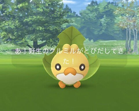 どれだけレアポケモンにしてるんだｗｗｗクルミルってまだでるの ポケモンgo速報まとめ