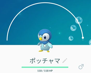 ポケモンgo 青いペンギンみたいなポケモンってレアなの ポケモンgo速報まとめ